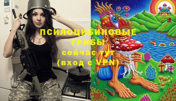 шишки Лиски